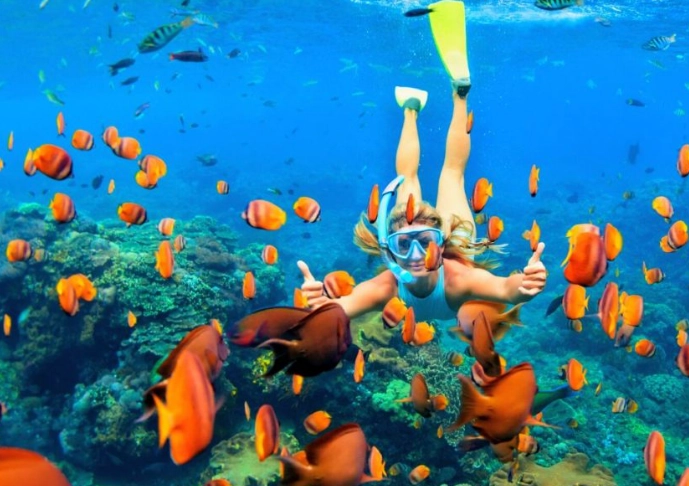 best time to snorkel Hawaii