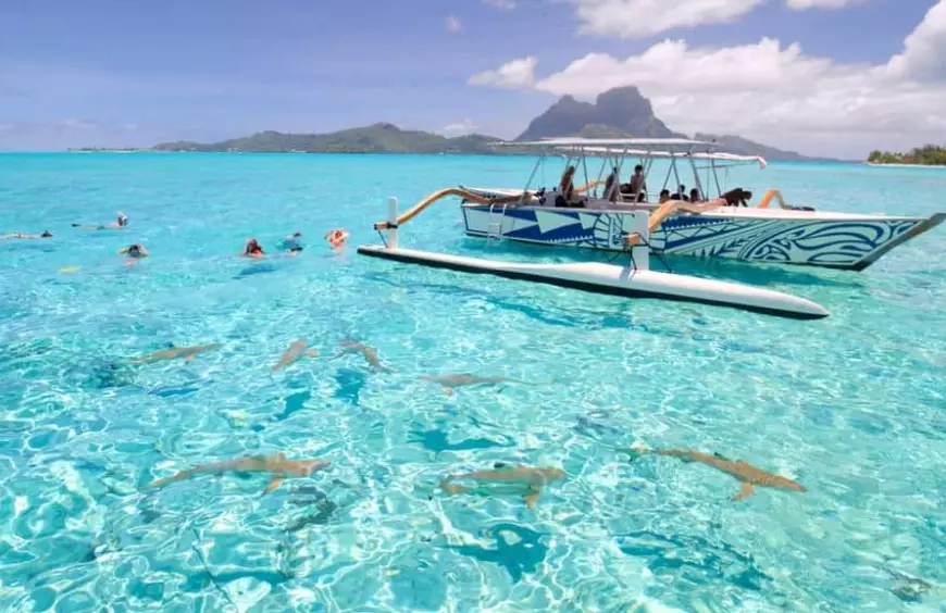 How much does it cost to go snorkeling in Bora Bora?