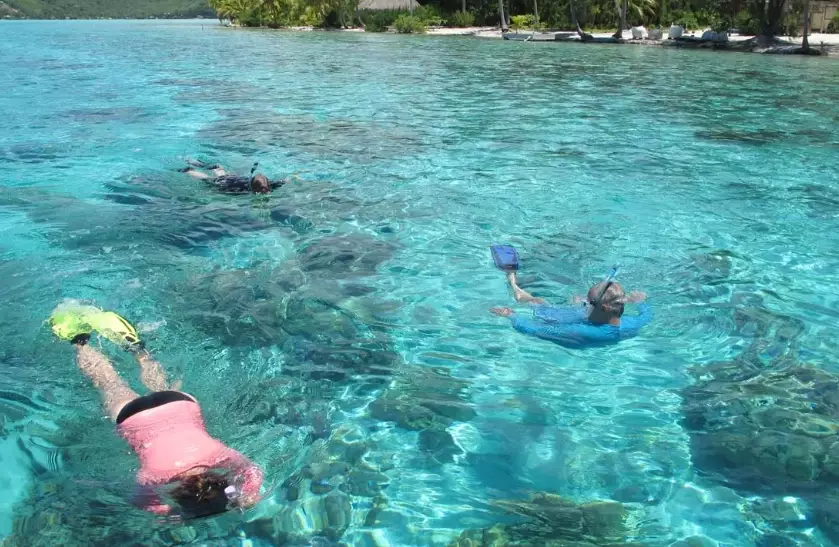 how much to snorkel in Bora Bora