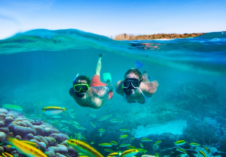 Snorkeling in Bahamas Nassau