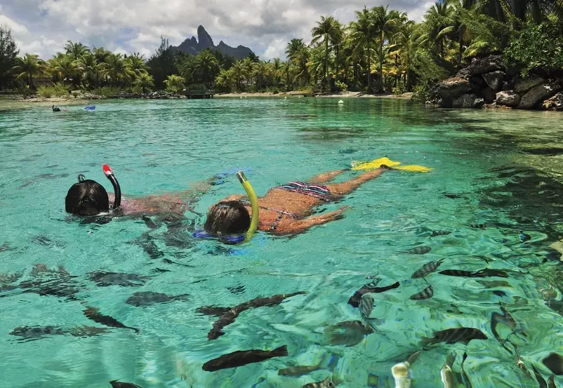 snorkeling tours Bora Bora price