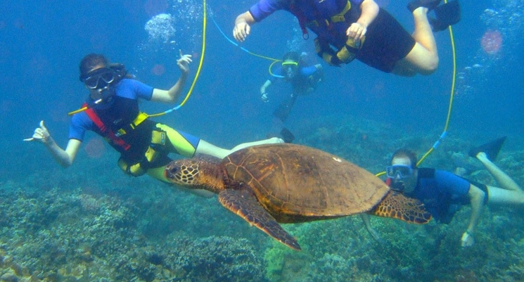 Costa Rica snorkeling spots Costa Rica snorkeling spots