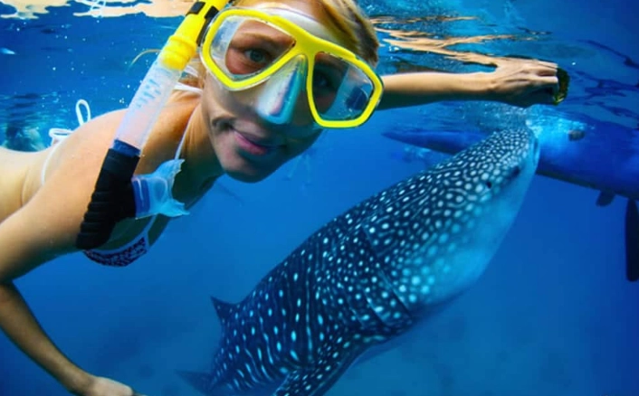 Costa Rica snorkeling spots Costa Rica snorkeling spots