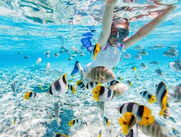 Free snorkeling Bahamas
