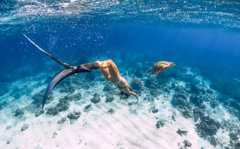 Nassau snorkeling tours Nassau snorkeling tours