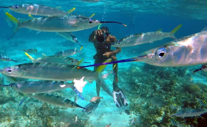 jamaica snorkeling tours