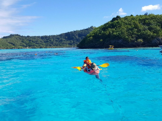 Bora Bora marine life Bora Bora marine life