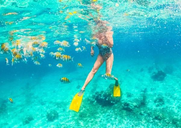 jamaica snorkeling tours