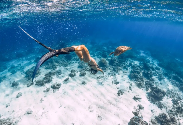 Nassau snorkeling spots Nassau snorkeling spots