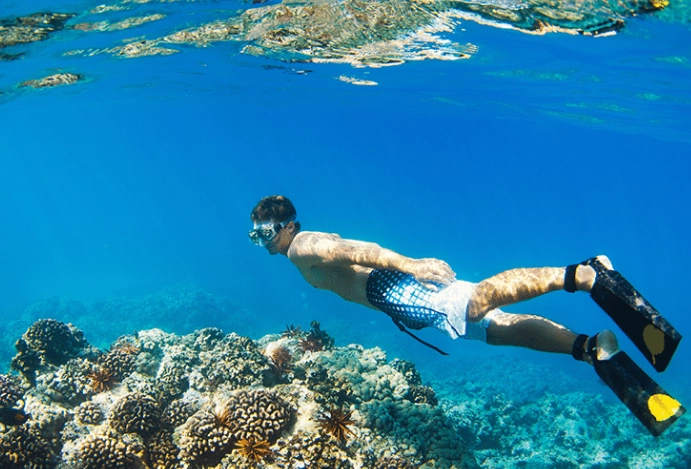 snorkeling in Hawaii morning or afternoon