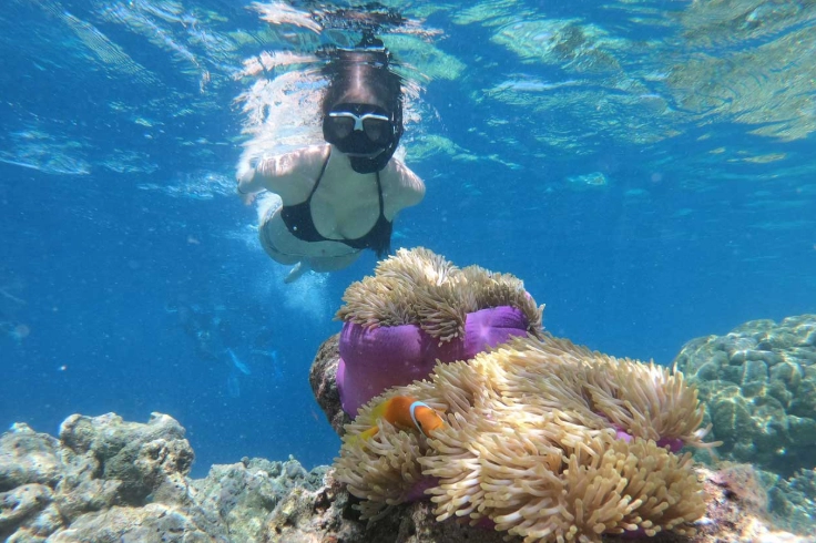 best snorkeling gear