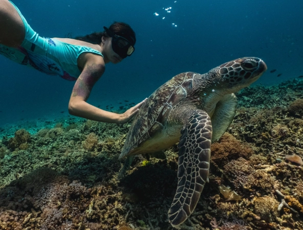 snorkeling Oahu morning vs afternoon
