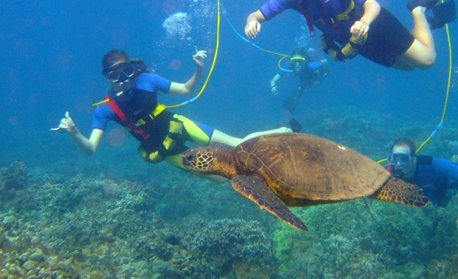 best snorkeling Costa Rica