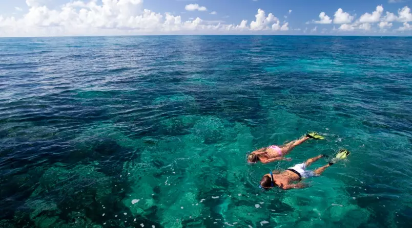 best tide for snorkeling