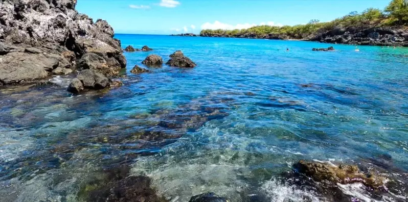 snorkel big island morning afternoon