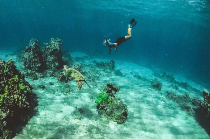 snorkeling in Costa Rica