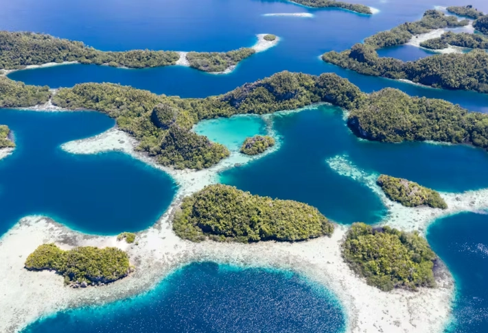 marine conservation regulations