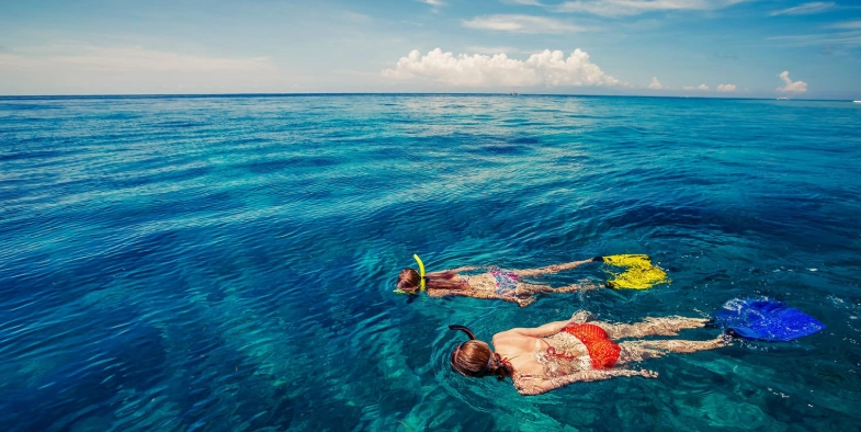 snorkeling season guide