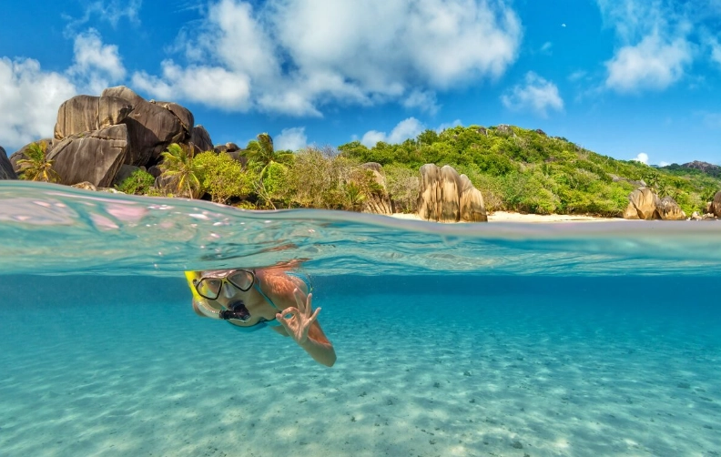 dangerous marine life Seychelles dangerous marine life Seychelles