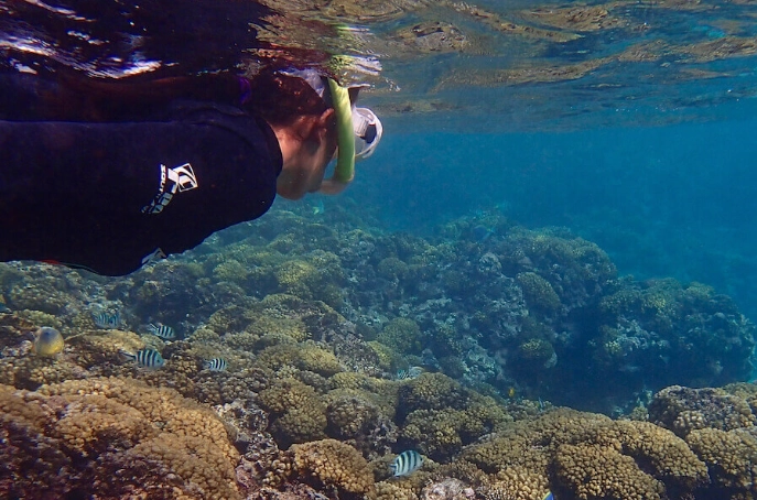 snorkeling safety Seychelles snorkeling safety Seychelles