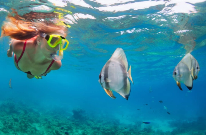 hawaii water conditions for snorkeling