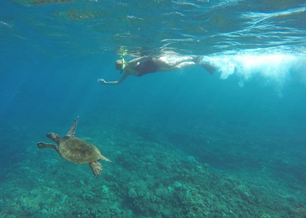 when to snorkel Honolua Bay