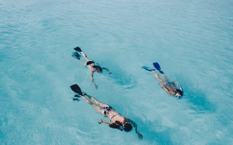 dangerous marine life Seychelles dangerous marine life Seychelles