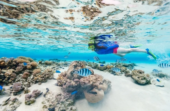 best time to snorkel Maui