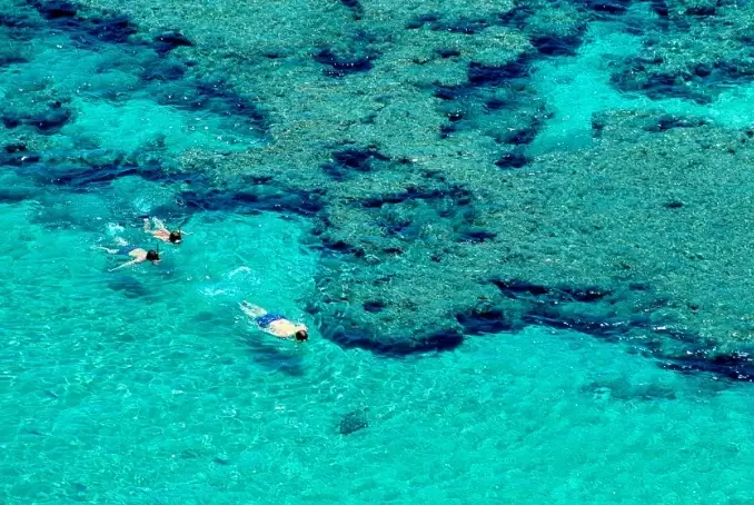 best time to snorkel Maui
