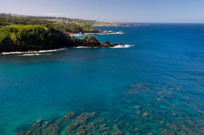 best time to snorkel Honolua Bay