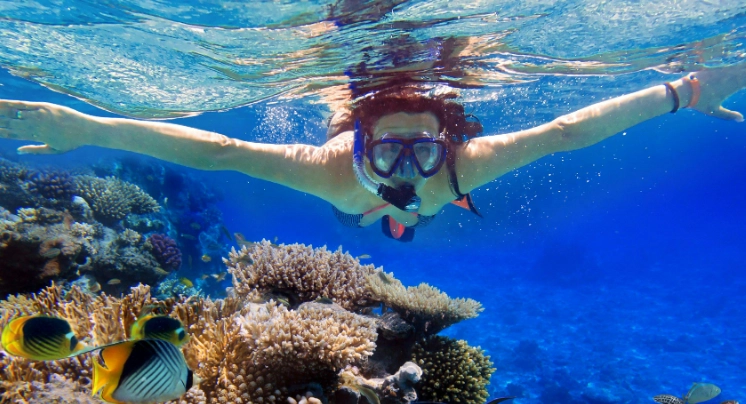 snorkeling high tide vs low tide
