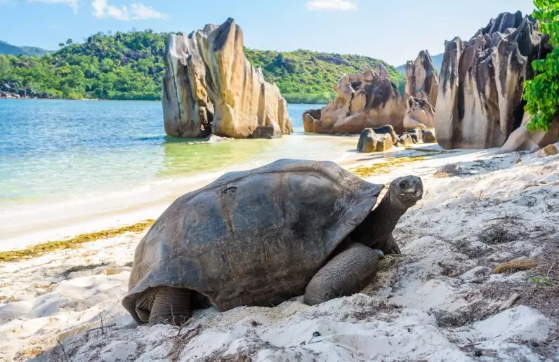 What should I be careful of in Seychelles?