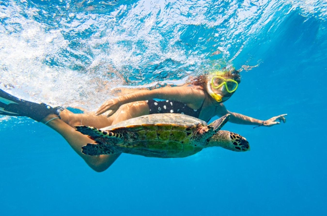 hawaii water conditions for snorkeling