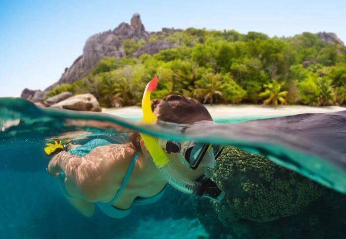 dangerous marine life Seychelles dangerous marine life Seychelles