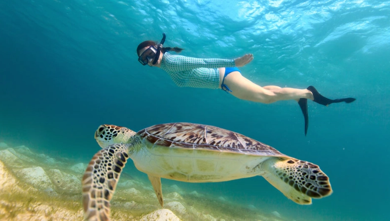 snorkel big island morning afternoon