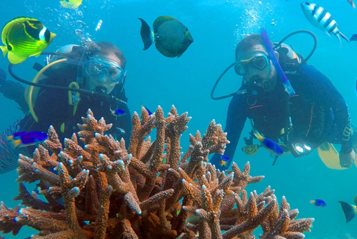 snorkeling in Seychelles snorkeling in Seychelles