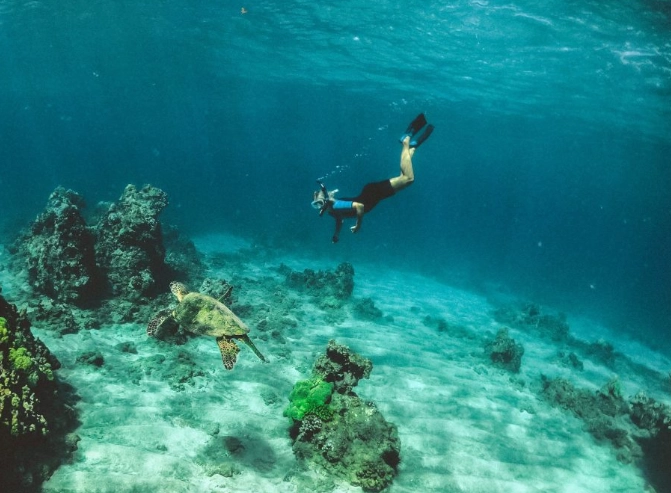 snorkeling safety Seychelles snorkeling safety Seychelles