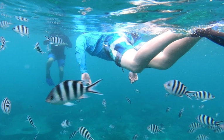 Best snorkeling in Mahe Seychelles