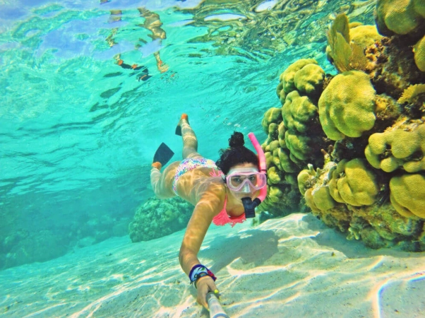 snorkeling season guide