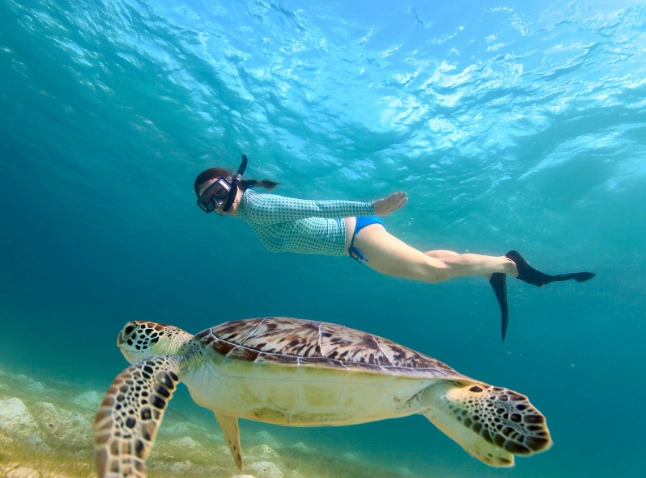 snorkeling near colorado snorkeling near colorado