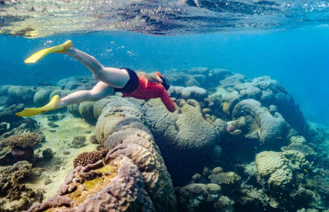 colorado snorkeling colorado snorkeling