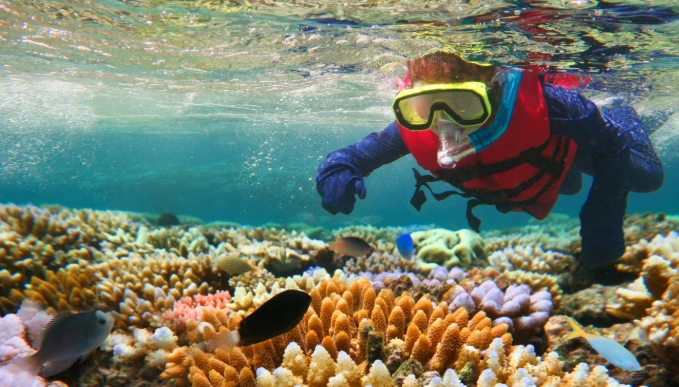 snorkeling tours Australia