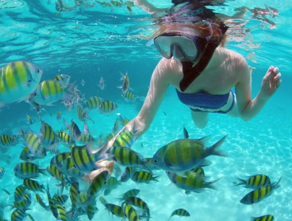 snorkeling etiquette