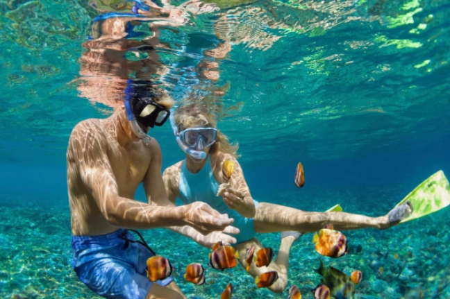 how to snorkel without swimming