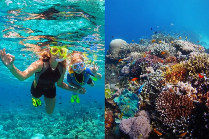Philippines snorkeling spots