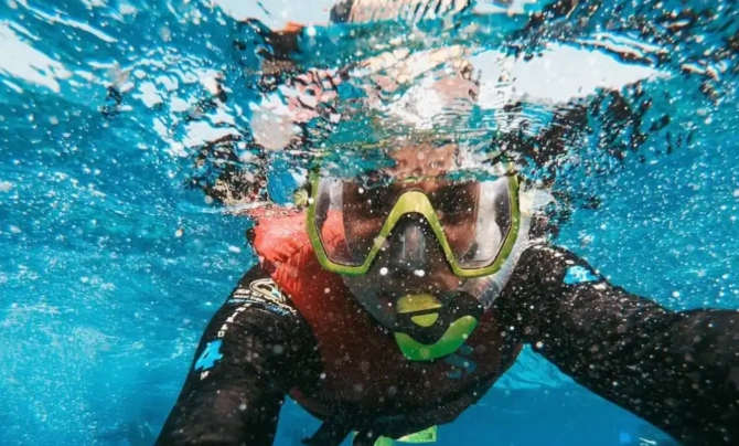 snorkeling for non-swimmers