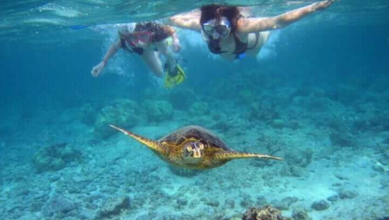 snorkeling in Galapagos islands