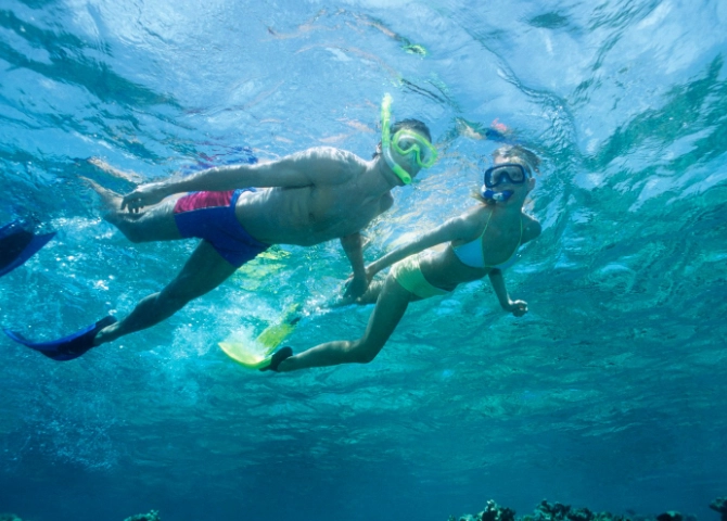 best snorkeling day trips best snorkeling day trips