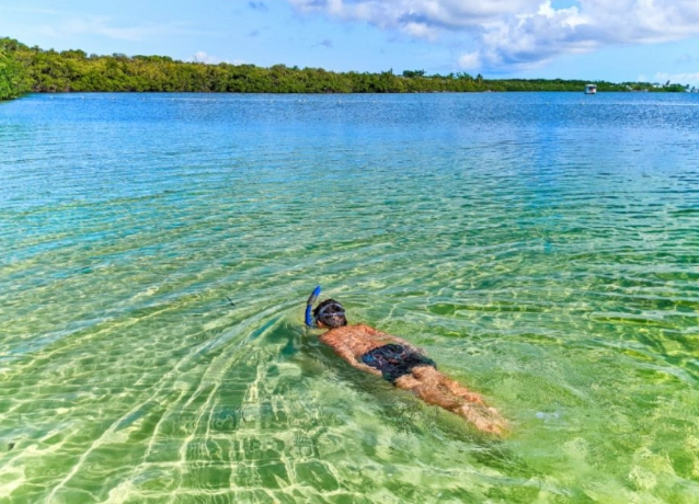 Snorkeling Key Largo