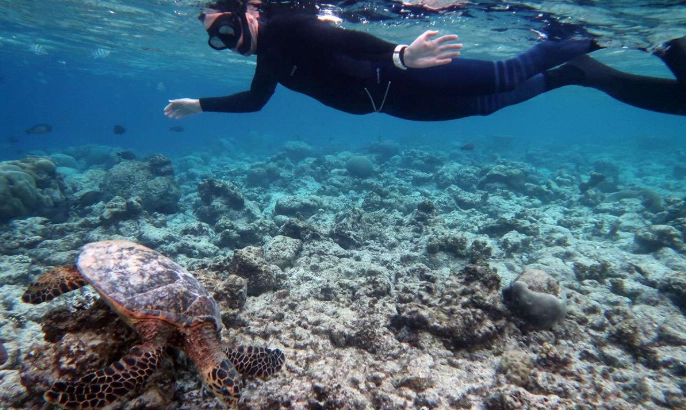 first time snorkeling tips